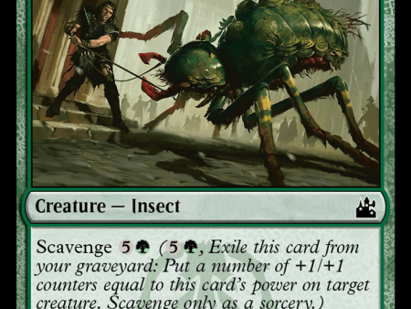 Drudge Beetle [Ravnica Remastered] Online Hot Sale